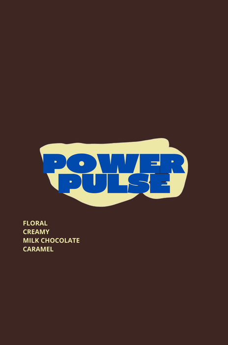 POWER PULSE
